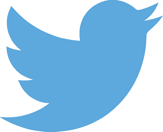twitter pták