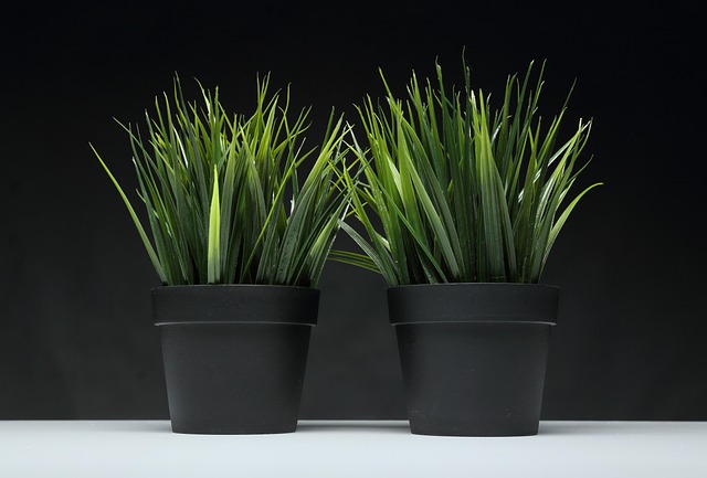 levné plastové květináče